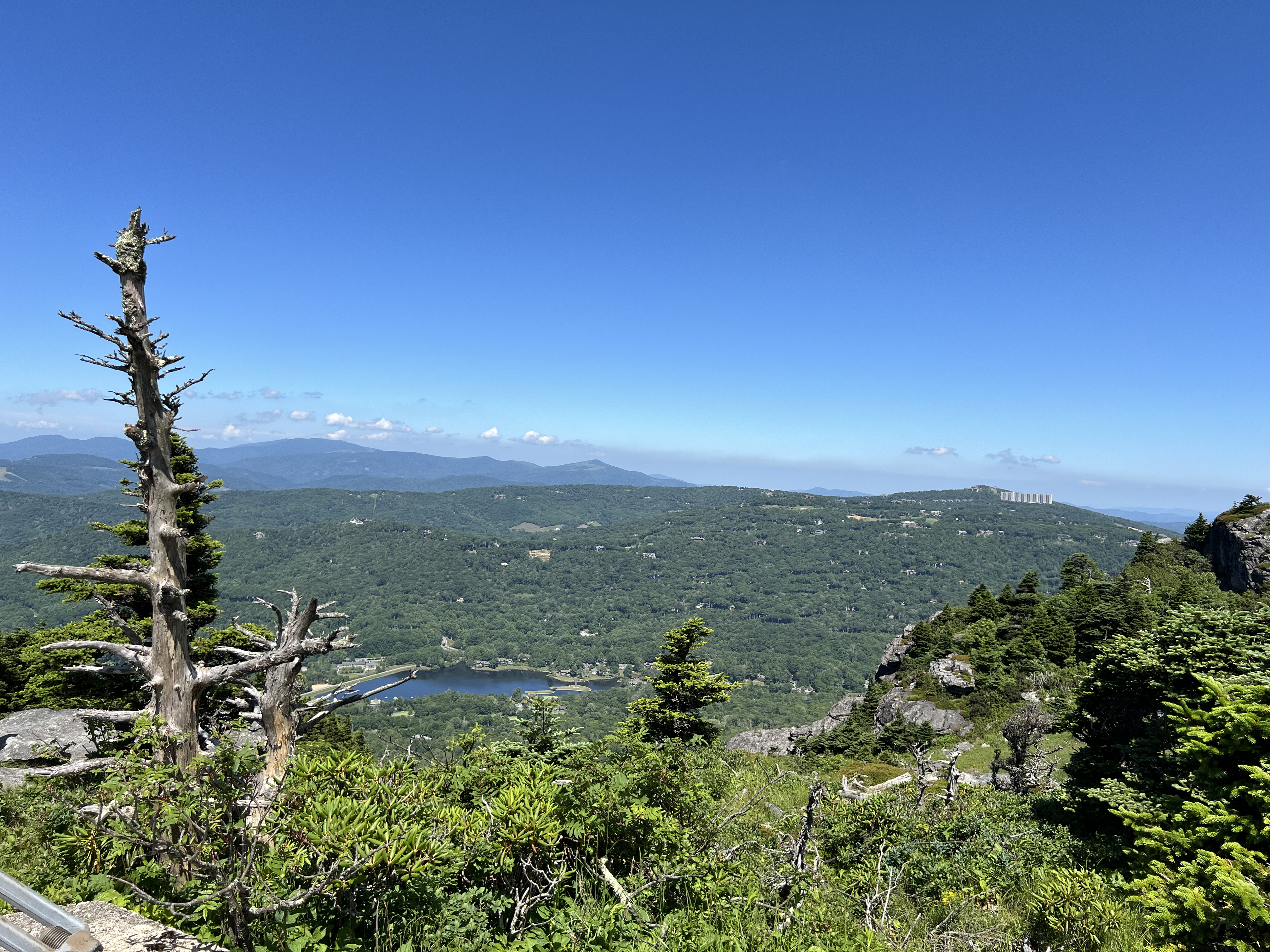./2024/08 - Banner Elk/Grandfather Mountain/IMG_1902.jpg
